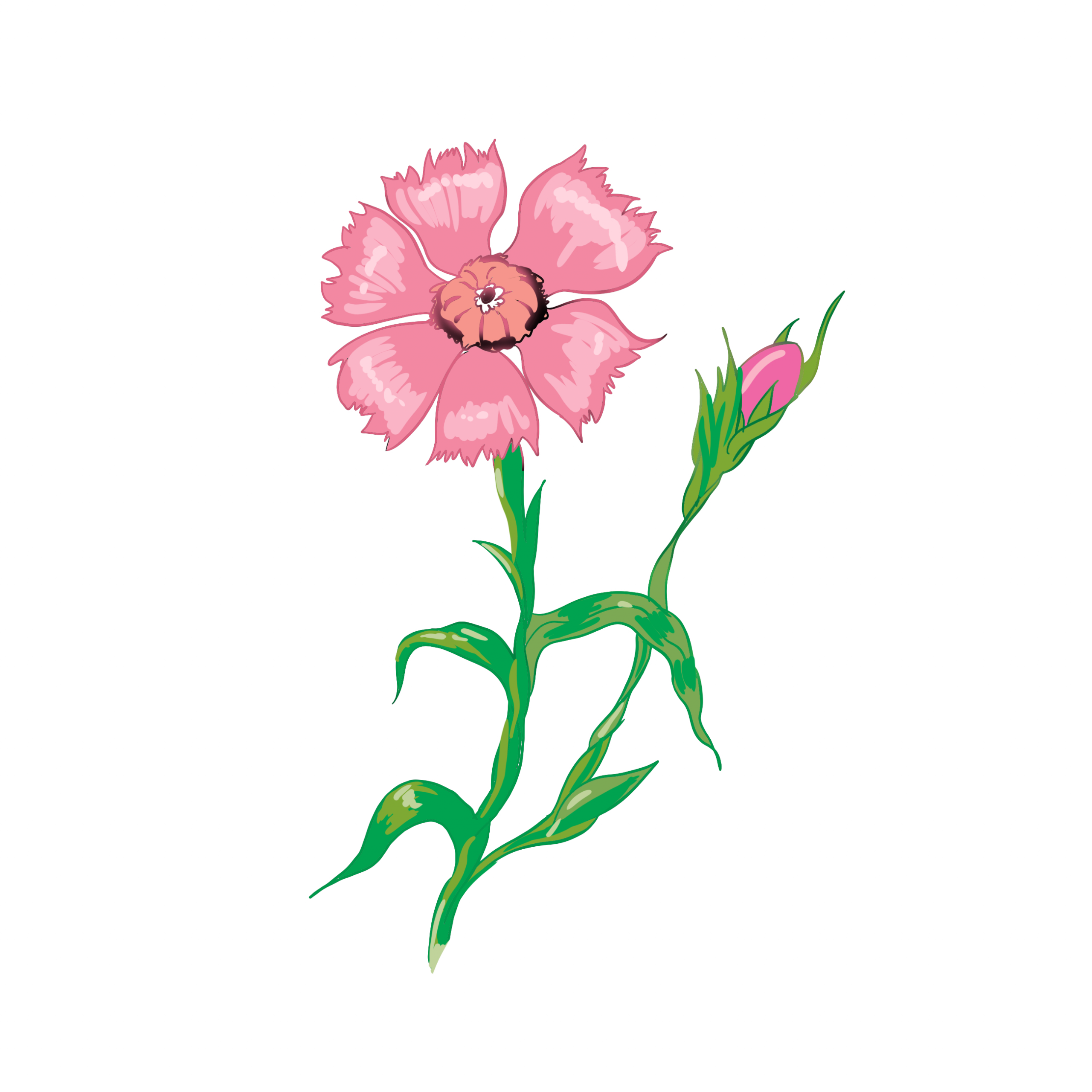 Floraison Images Gratuites - Fleurs Clipart - Fleurs avec F&amp;amp;#039;Eur Dessin