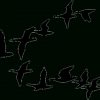 Free Image On Pixabay - Silhouette, Birds, Black, Flying destiné Oiseau En V Dessin