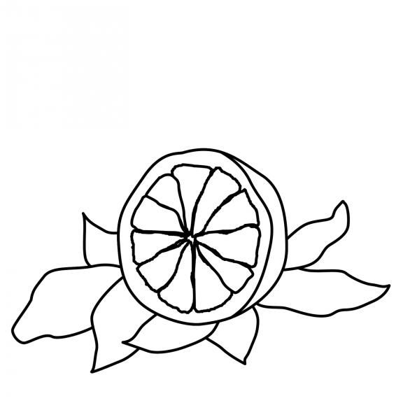 Fruit Orange : Coloriage Orange À Imprimer Et Colorier destiné Coloriage Orange