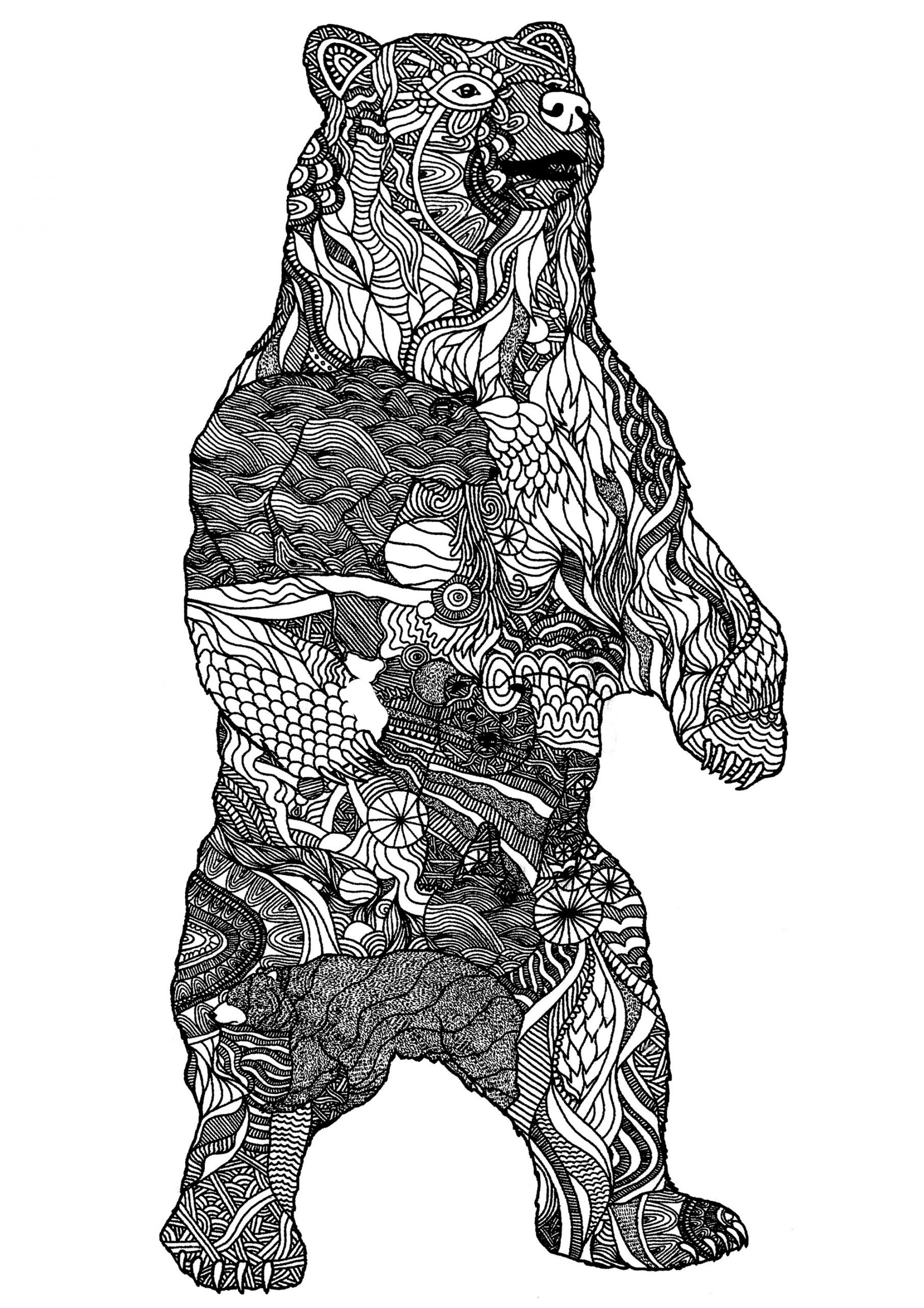 Gros Ours Motifs Zentangle - Ours - Coloriages Difficiles concernant Coloriage Ours,