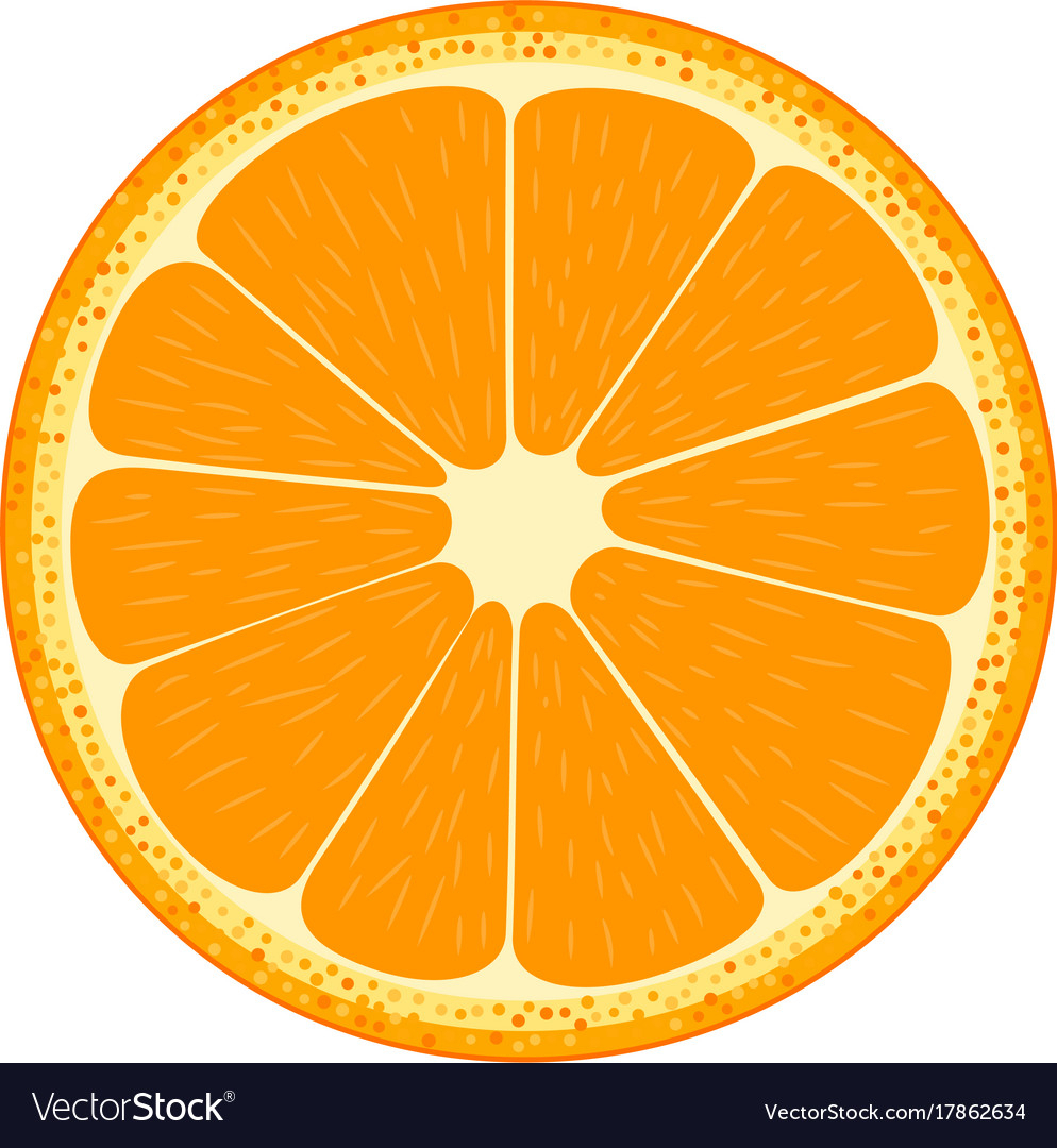 Half Of Fruit Orange Royalty Free Vector Image encequiconcerne Dessin Orange