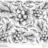 Hand Drawn Background Of Ripe Cranberry Fruits Stock destiné Vitamine K Dessin