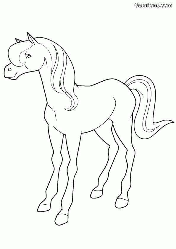 Horseland Coloring Pages - Bestofcoloring - Coloring Home dedans Coloriage Horseland