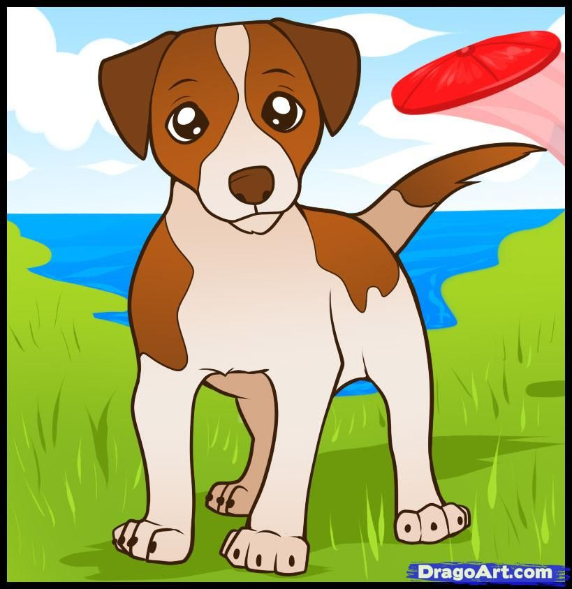 How To Draw A Jack Russell Terrier, Step By Step, Pets intérieur Dessin Coloriage Jack Russel