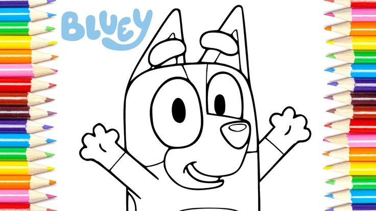 How To Draw Bingo From Bluey Cartoon And Color With pour Dessin Bingo,