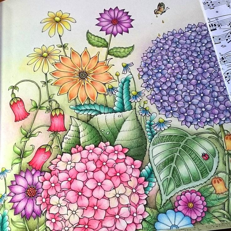 Hydrangea Garden #Ivyandtheinkybutterfly #Johannabasford # serapportantà Coloriage Polychromos,