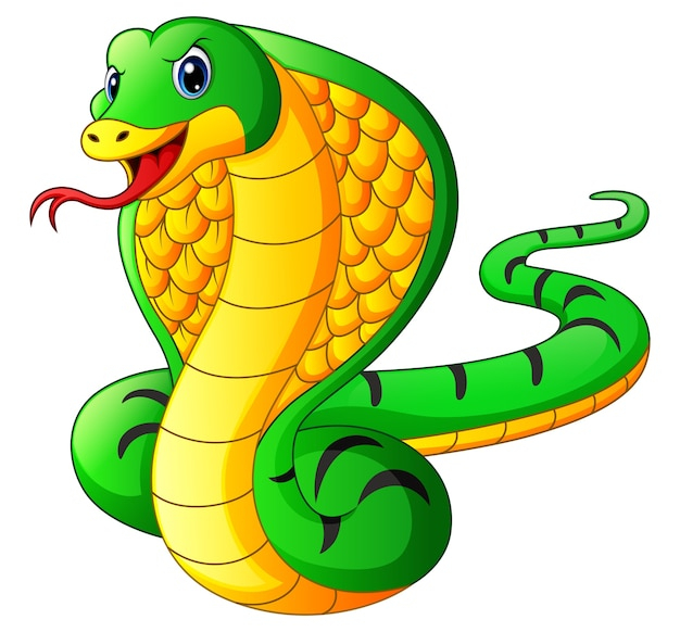 Idées Pour Cobra Serpent Dessin Couleur - Bethwyns Project à Dessin Serpent