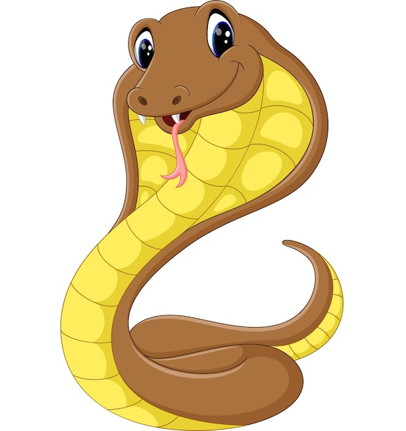 Idées Pour Cobra Serpent Dessin Couleur - Bethwyns Project encequiconcerne Dessin Serpent
