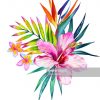Illustration : Bouquet De Fleurs Tropicales | Tropical pour Dessin Fleur
