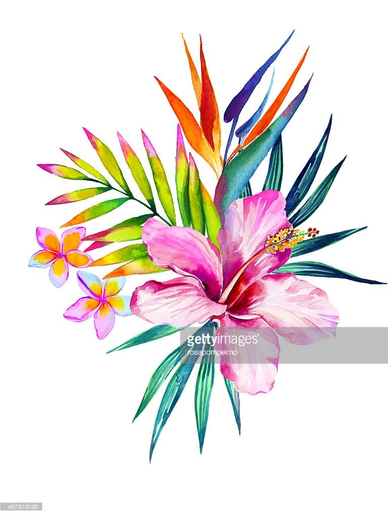 Illustration : Bouquet De Fleurs Tropicales | Tropical pour Dessin Fleur