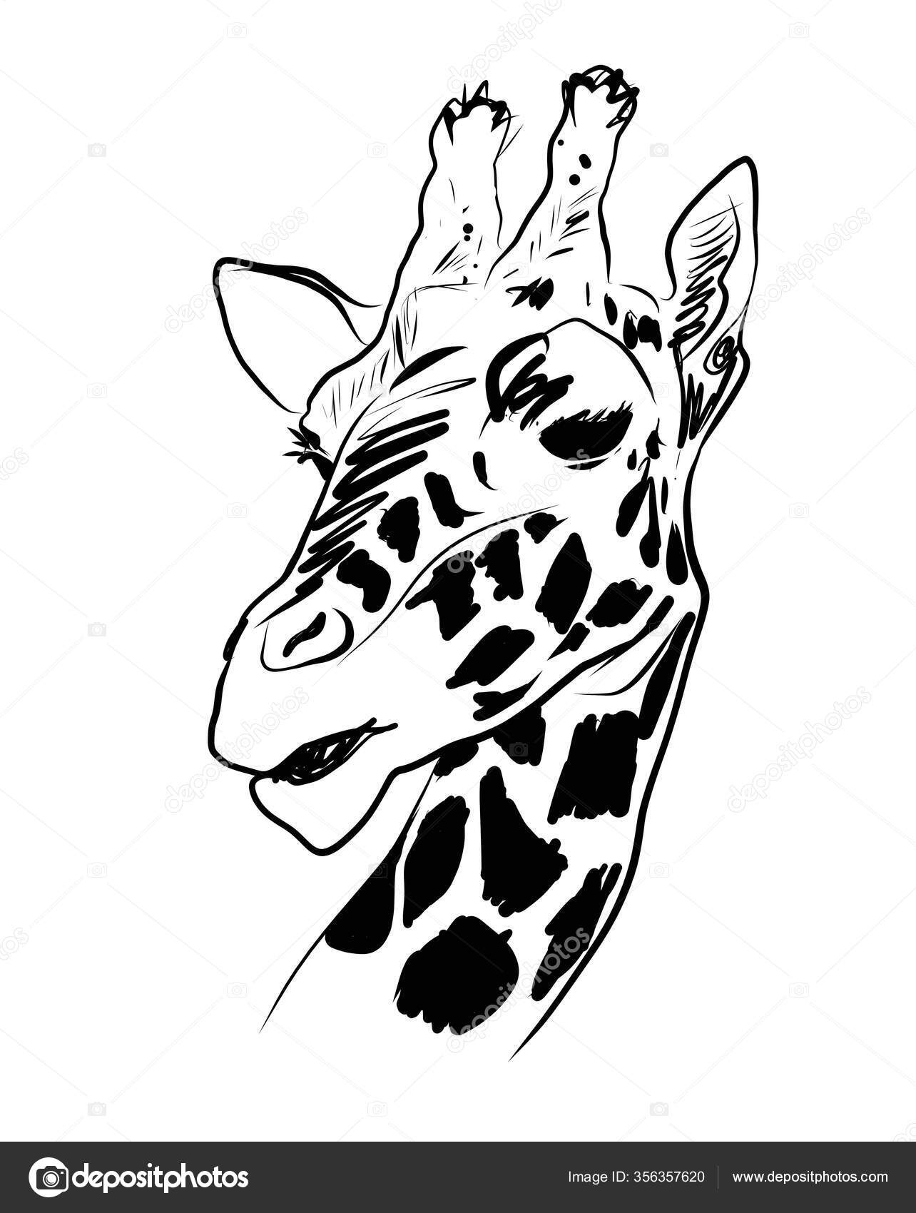 Illustration Graphique Vectorielle De Tête De Girafe Noir pour Coloriage Dessin Girafe