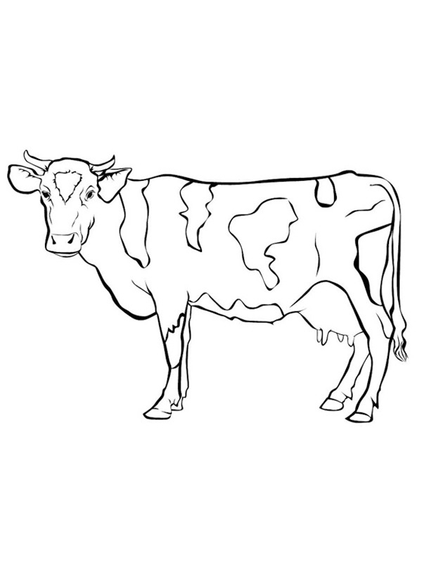 Image À Colorier Vache | Topcoloriages.fr serapportantà Coloriage Dessin Vache