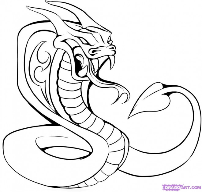 Image De Serpent Dessin~Image De Serpent Dessin ~ Papier encequiconcerne Coloriage Dessin Serpent