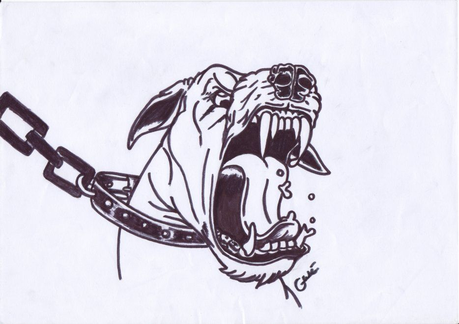 Image - Dessin Chien Enragé - ¡{ £A Gw3 Du 52 }! D3Ssin3 concernant Dessin Chien,