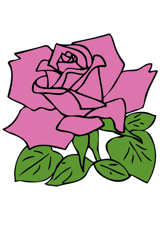 Image Rose - Images Gratuites À Imprimer - Dessin 21258 avec Dessin Rose