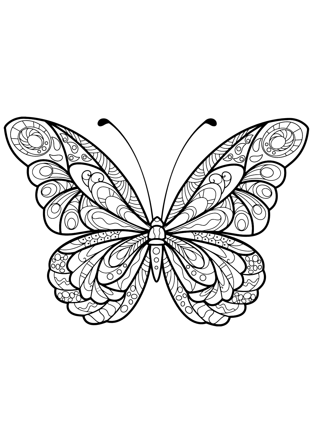 Impressionnant Image Coloriage Papillon destiné Coloriage Dessin Papillon