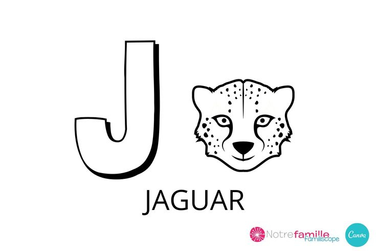 J Comme Jaguar ! Pour Apprendre Et Mémoriser La Lettre J avec Lettre J Dessin