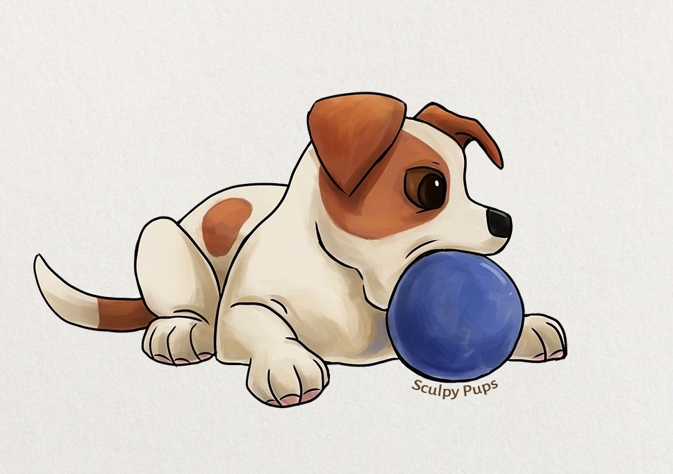 Jack Russell Terrier Pup Drawing | Jack Russell, Jack à Dessin Coloriage Jack Russel