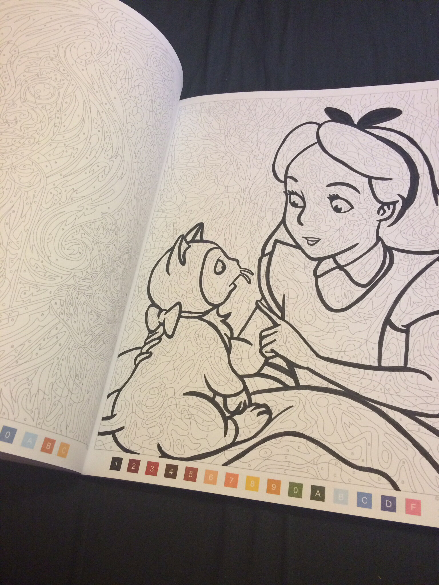 J&amp;#039;Ai Testé Le Livre De Coloriages Mystères &amp;quot;Les Grands serapportantà Coloriage Mystere Disney Tome 2,