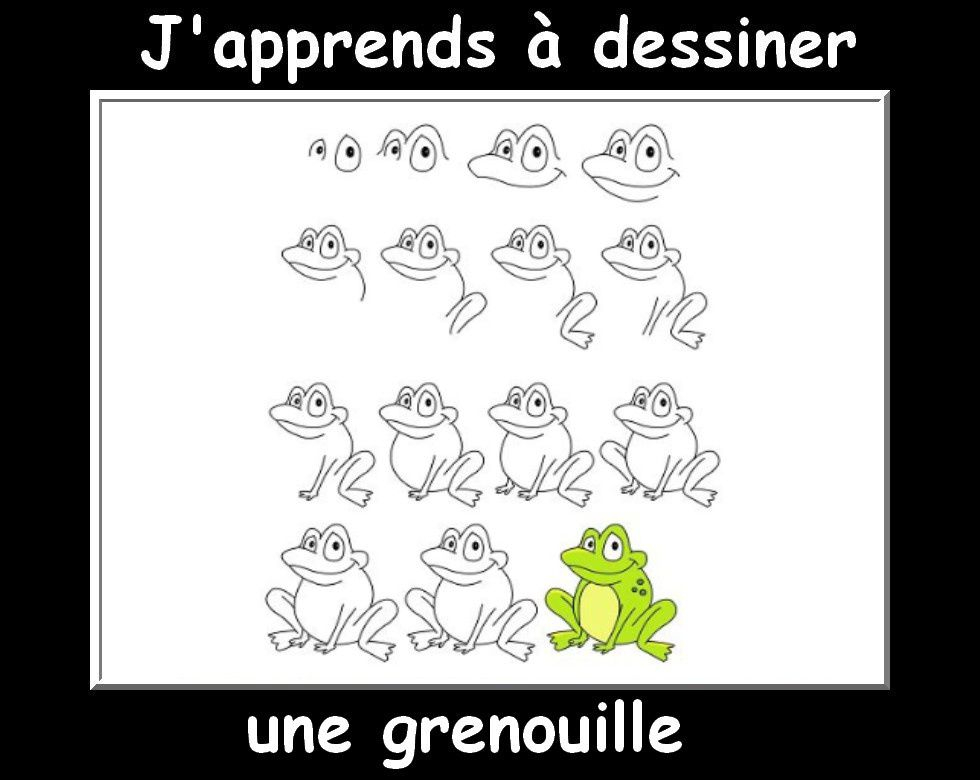 J&amp;#039;Apprends À Dessiner Les Animaux  Encore! - La Classe concernant J&amp;#039;Apprends À Dessiner Les Animaux