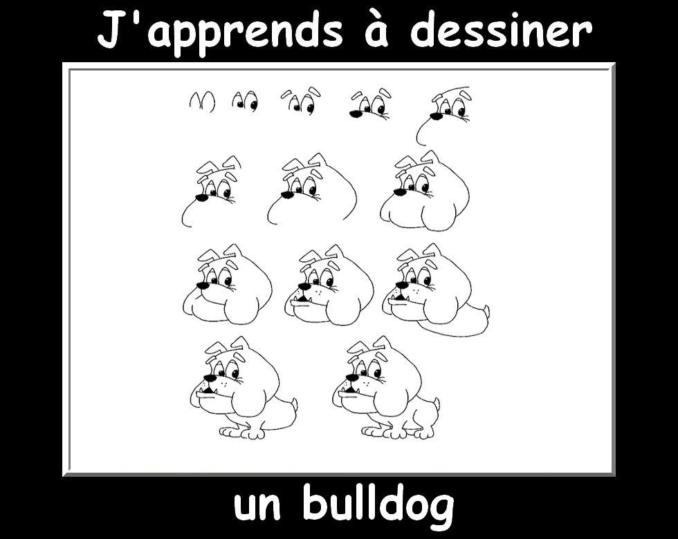 J&amp;#039;Apprends À Dessiner Les Animaux  Encore! - La Classe intérieur J&amp;#039;Apprends À Dessiner Un Chat