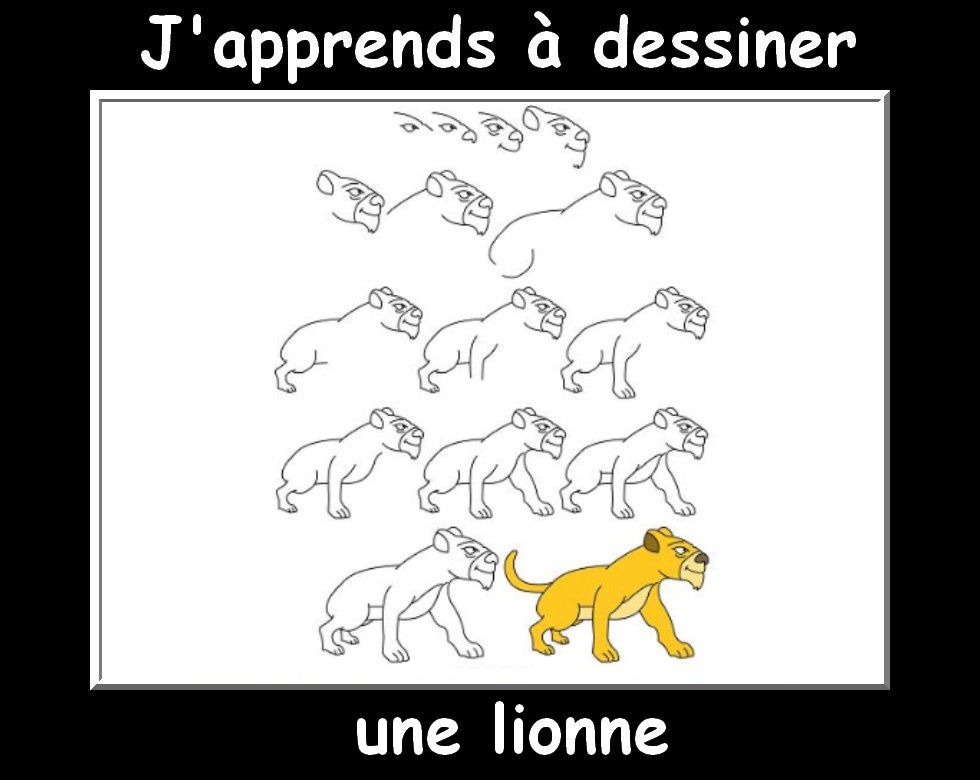 J&amp;#039;Apprends À Dessiner Les Animaux  Encore! - La Classe pour J&amp;#039;Apprends À Dessiner Un Chat