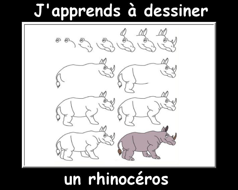 J&amp;#039;Apprends À Dessiner Les Animaux  Encore! - La Classe tout J&amp;#039;Apprends À Dessiner Pdf