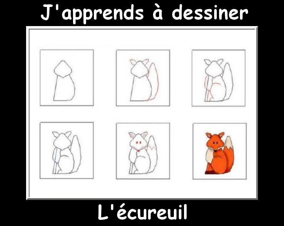 J&amp;#039;Apprends À Dessiner Les Animaux Suite - La Classe De à J&amp;amp;#039;Apprends À Dessiner