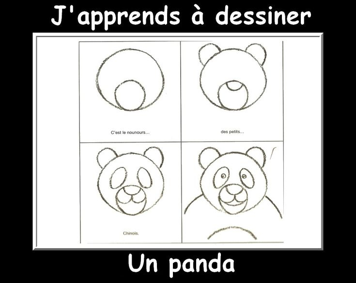 J&amp;#039;Apprends À Dessiner Les Animaux Suite - La Classe De à J&amp;#039;Apprends À Dessiner