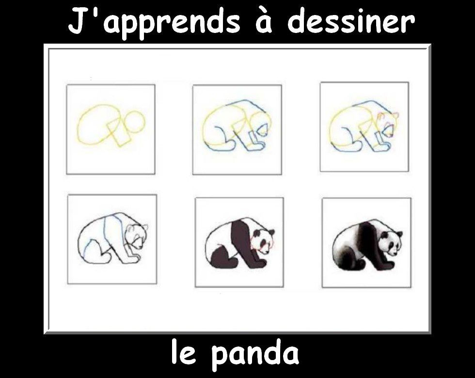 J&amp;#039;Apprends À Dessiner Les Animaux Suite - La Classe De concernant J&amp;amp;#039;Apprends À Dessiner Un Chat