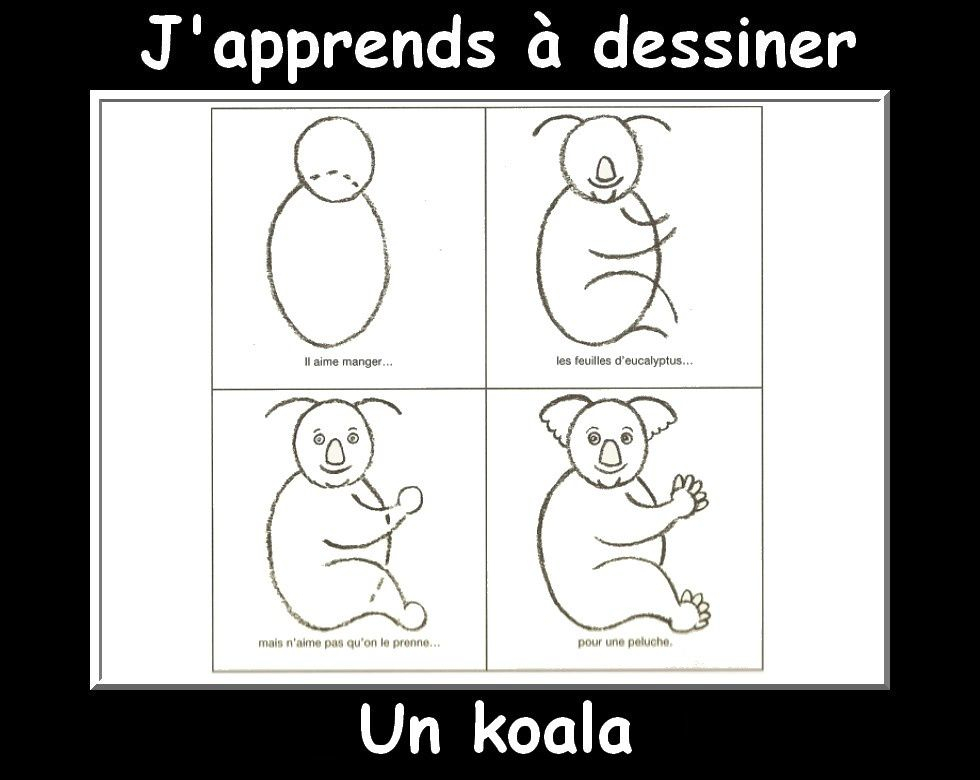 J&amp;#039;Apprends À Dessiner Les Animaux Suite - La Classe De dedans A Dessiner Animaux