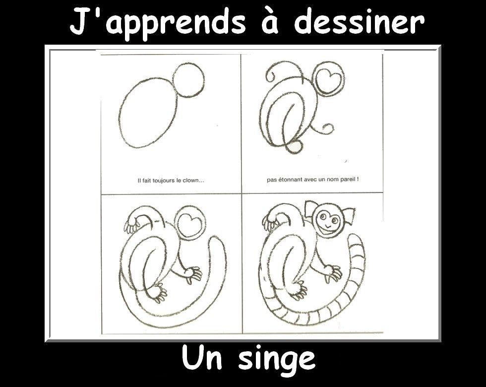 J&amp;#039;Apprends À Dessiner Les Animaux Suite - La Classe De serapportantà J&amp;amp;#039;Apprends À Dessiner Les Animaux