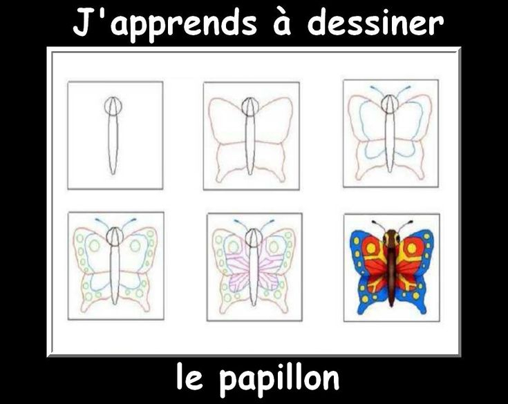 J&amp;#039;Apprends À Dessiner Les Animaux Suite - La Classe De tout J&amp;amp;#039;Apprends À Dessiner Un Chat