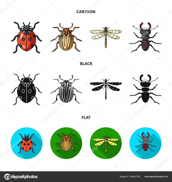 Jeu D'Icônes D'Insectes. Dessin Animé De 9 Insectes dedans Dessin Insecte