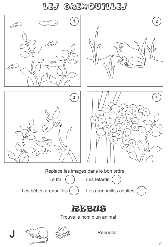 Jeux À Imprimer Pour Enfants De 7 Ans Et Plus - Page 9 concernant Coloriage 7 Ans À Imprimer