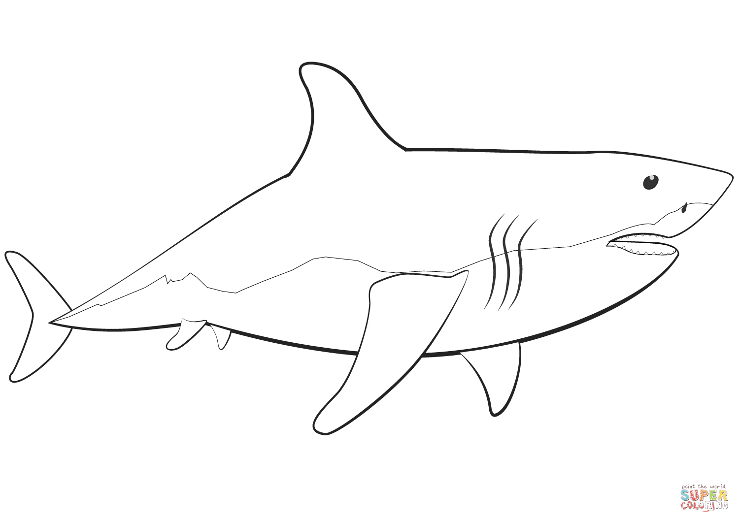 Jeux Gratuit Requin Blanc - Primanyc avec Coloriage Requin