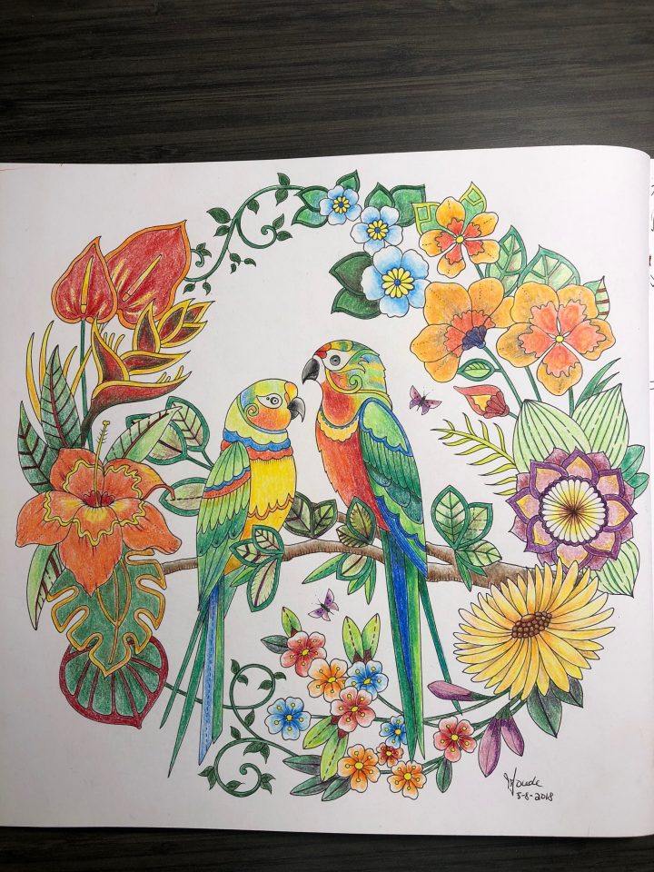 Jungle Magique De Johanna Basford | Coloriage, Motifs À concernant Coloriage Johanna Basford,