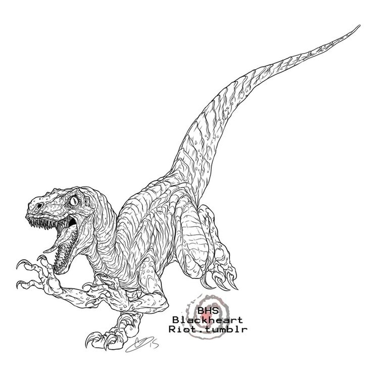 Jurassic World Coloring Pages Blue Free | Coloriage encequiconcerne Coloriage Jurassic Park