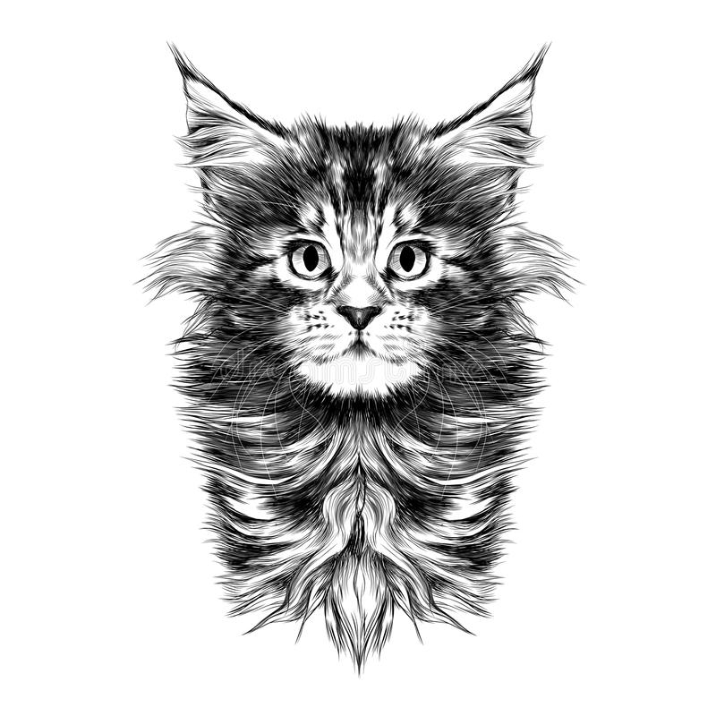 La Collection De Chats Remettent Le Dessin Illustration De destiné Dessin Chat