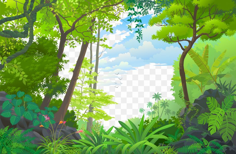 Landscape Jungle Euclidean Vector Tropical Rainforest, Png tout Dessin Jungle