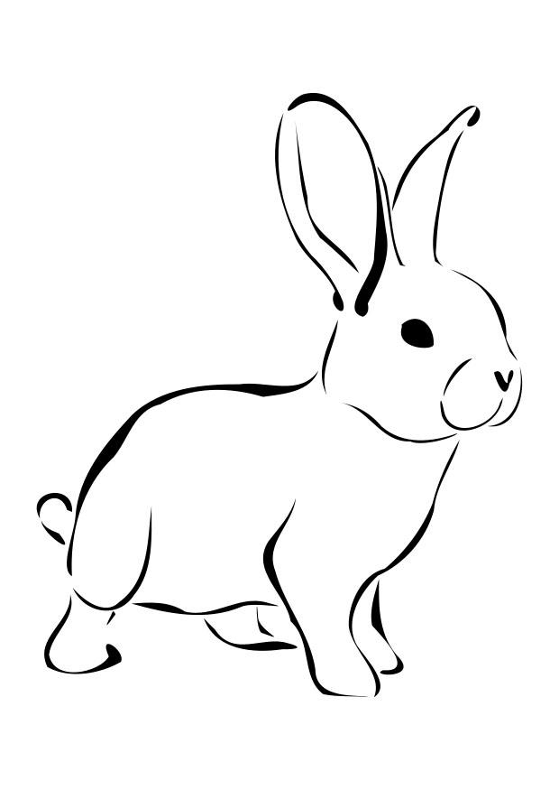 Lapin Dessin : Hp9Idbqtd2Uavm - Trouver Les Plus Beaux concernant Coloriage À Recopier,