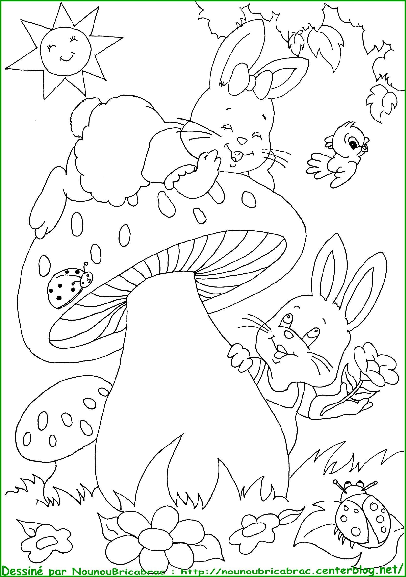 Lapins Dans Mon Jardin À Colorier intérieur Coloriage Jardin