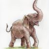 Le Blogue Des 100 Dessins: Un Éléphant concernant Dessin Elephant