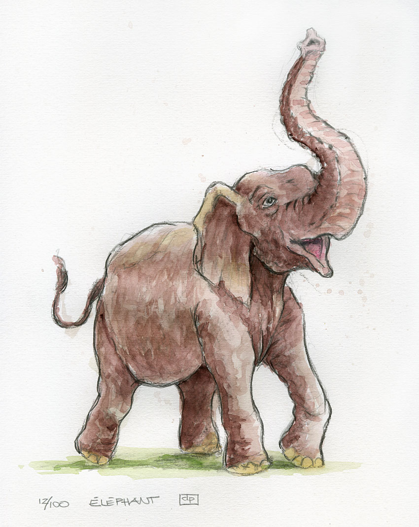 Le Blogue Des 100 Dessins: Un Éléphant concernant Dessin Elephant