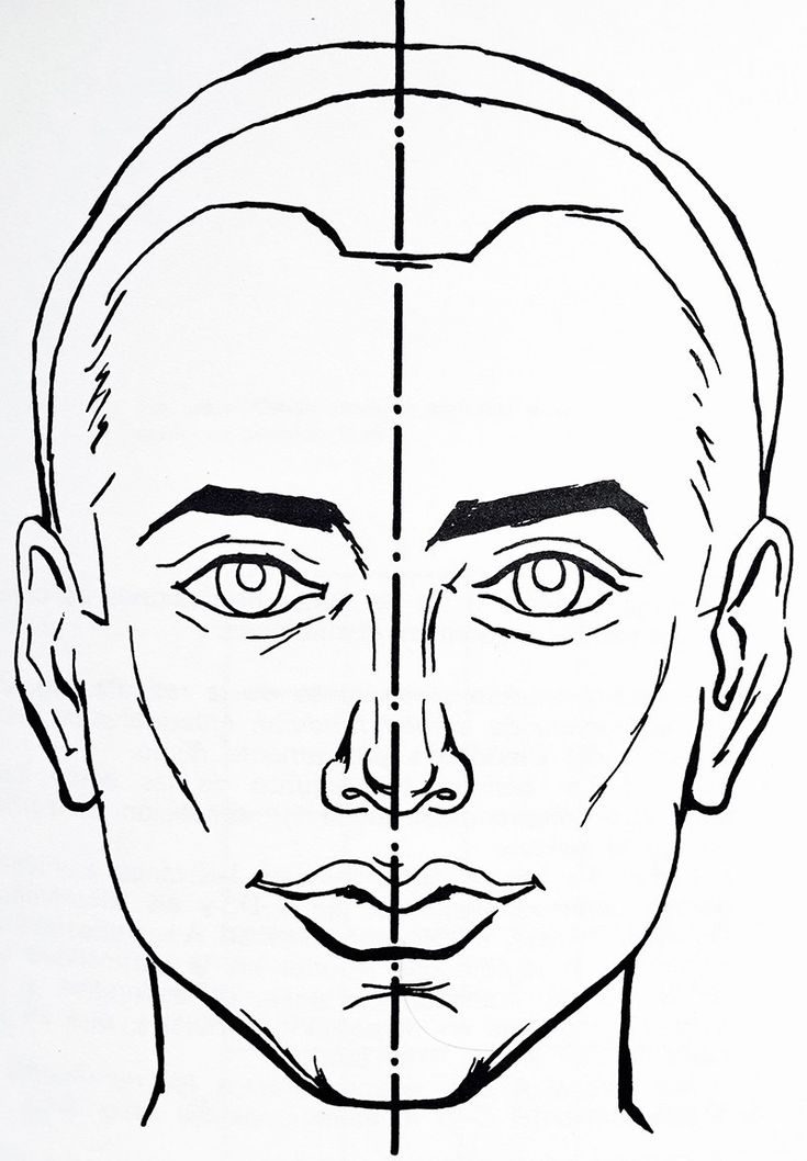 Le Canon Ou Les Bonnes Proportions Pour Dessiner Un intérieur Dessin Un Visage,