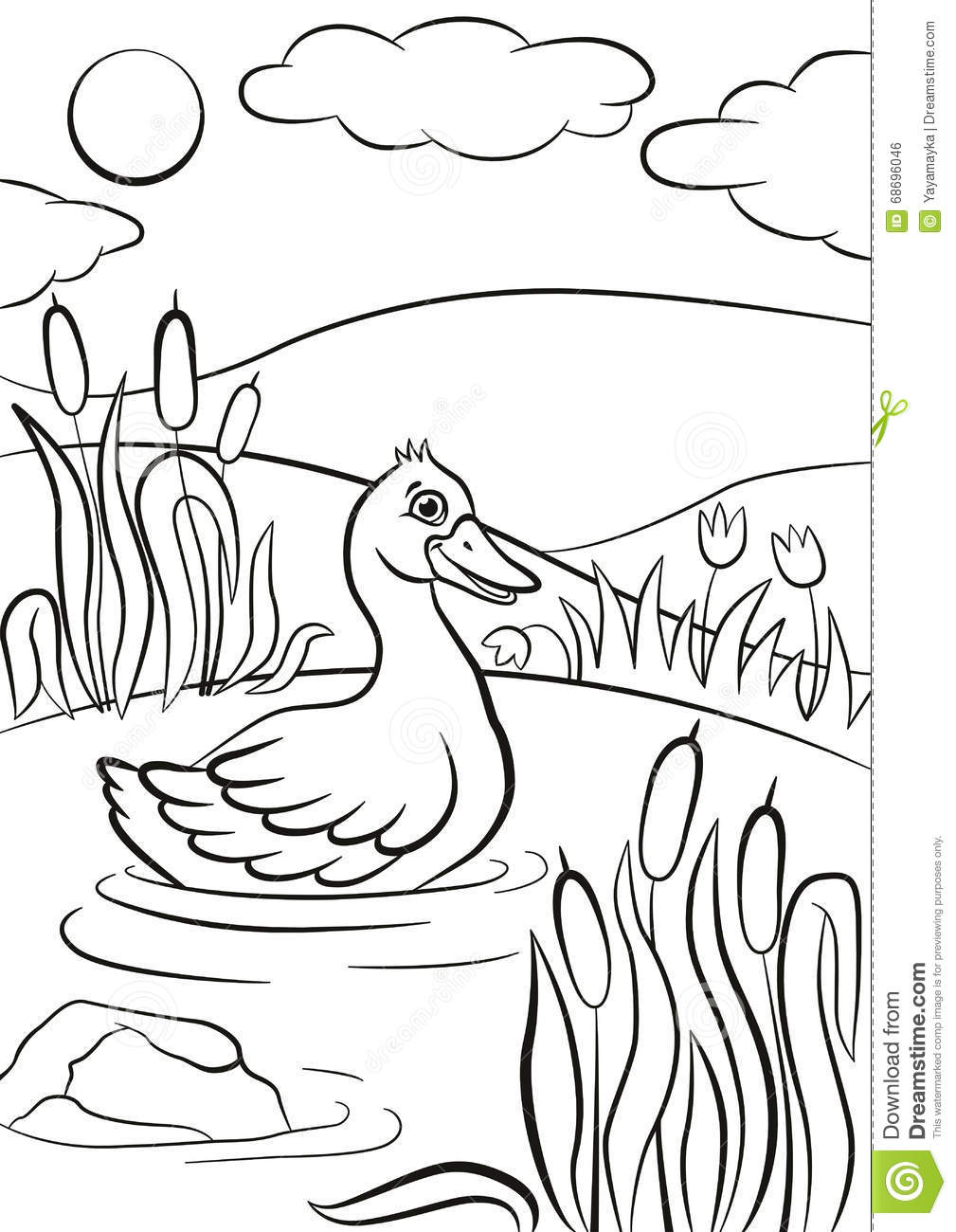 Le Petit Canard Mignon Nage Sur L&amp;#039;Étang Il Sourire Du ` S intérieur Coloriage Étang Dessin