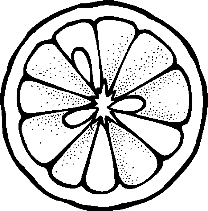 Lemon Slice Drawing At Getdrawings | Free Download intérieur Coloriage Dessin Orange