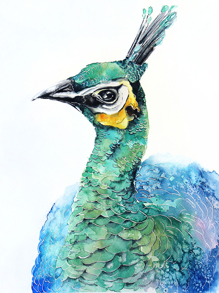 Les Aquarelles D&amp;#039;Oiseaux De Karolina Kijak - Dessein De Dessin destiné Dessin Oiseau,