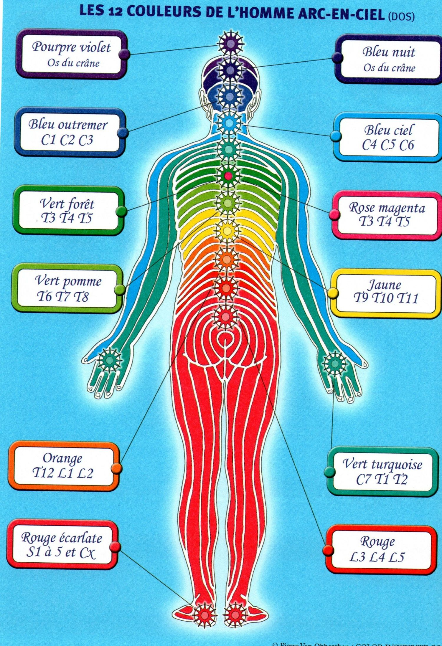 Les Chakras | Les Chakras, Technique De Méditation serapportantà Coloriage Des 7 Chakras