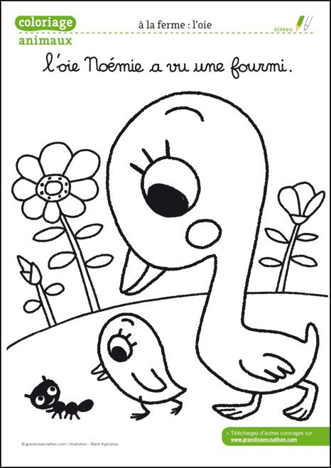 Les Coloriages Des Animaux De La Ferme : L&amp;#039;Oie | Coloriage tout Coloriage Kdp,